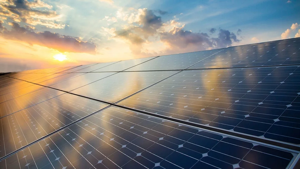 Our World: Taking action for environment and community