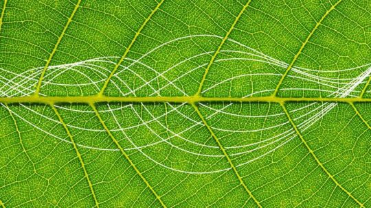 Faktenblatt zur Nachhaltigkeit 2021