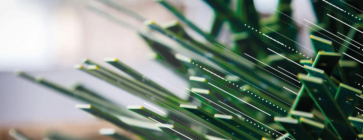 Sustainability - Reports and Disclosures